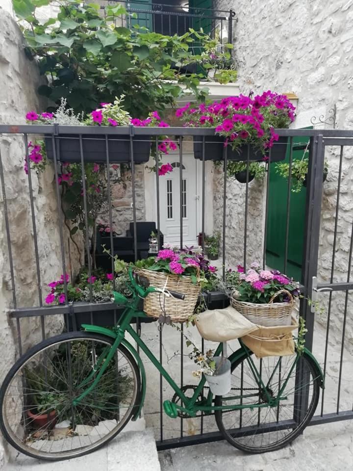 Apartman Teta Jadre Makarska Exterior foto